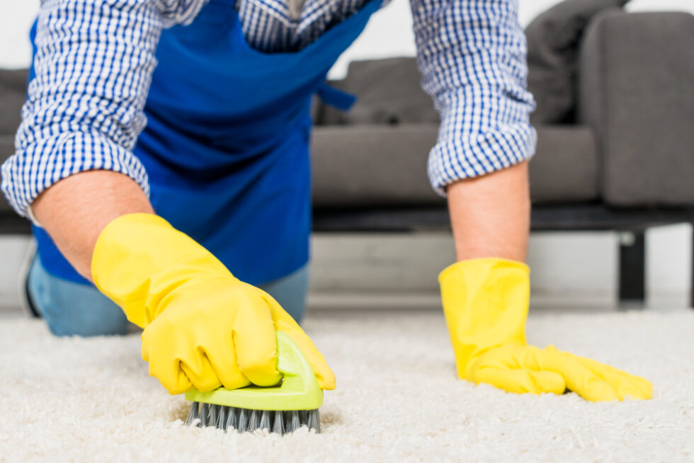 Remove All Small Rugs Expert Tips for Cleaning Rug Stains